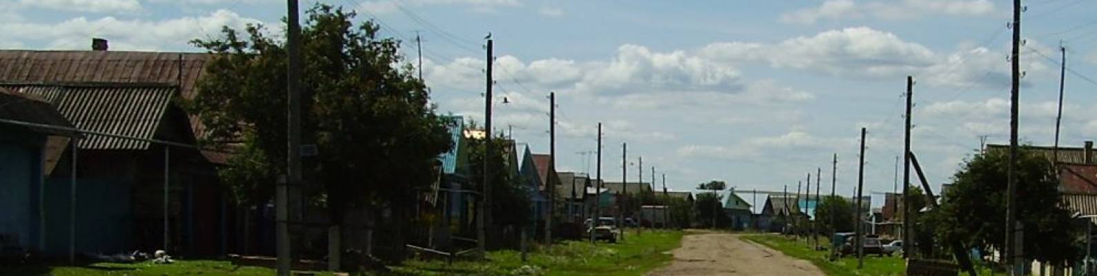  деревня Нижние Шуни